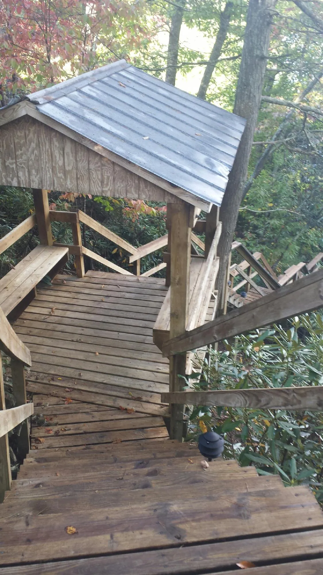 Metal roofed shelter over wooden steps on a wooded walkway — Skylight Repair & Installation work by our crew in Baconton